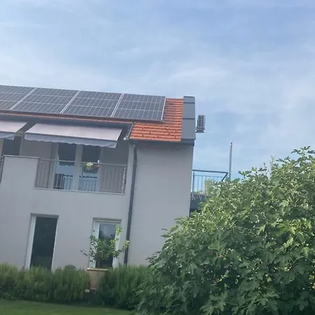 Fuegeskert *